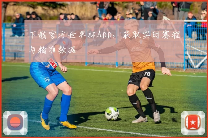 下载官方世界杯App，获取实时赛程与精准数据