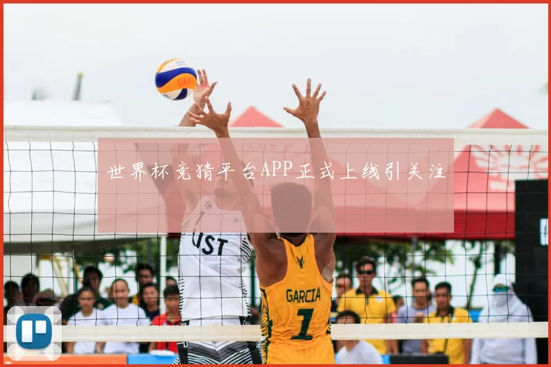 世界杯竞猜平台APP正式上线引关注
