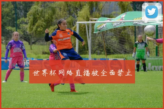世界杯网络直播被全面禁止