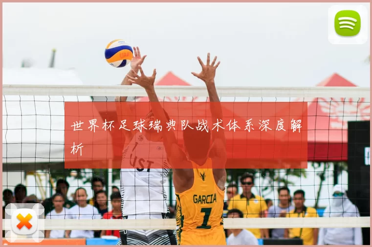 世界杯足球瑞典队战术体系深度解析