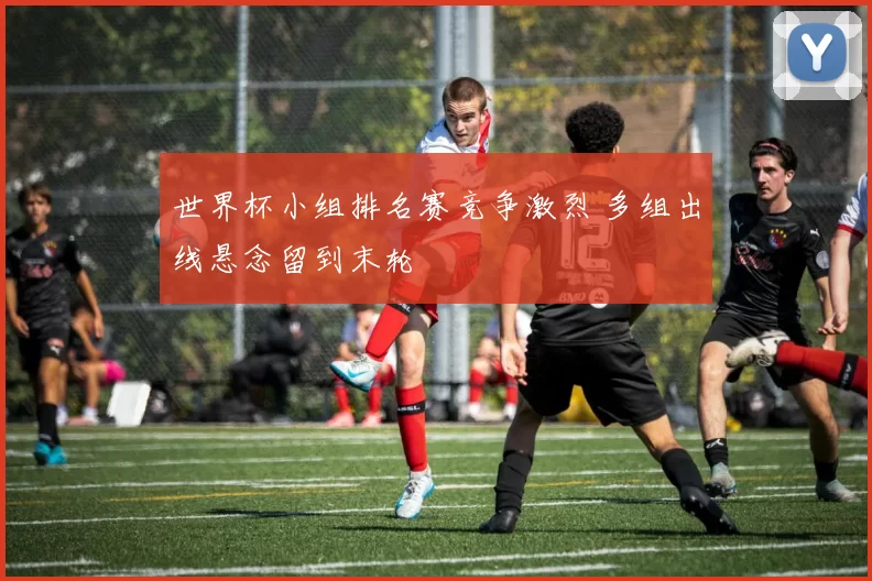 世界杯小组排名赛竞争激烈 多组出线悬念留到末轮
