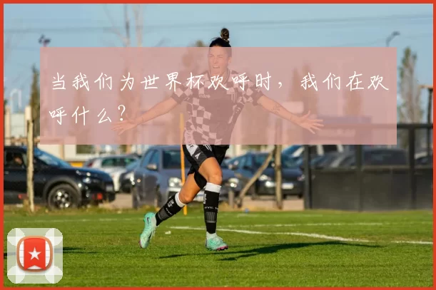 当我们为世界杯欢呼时,我们在欢呼什么?
