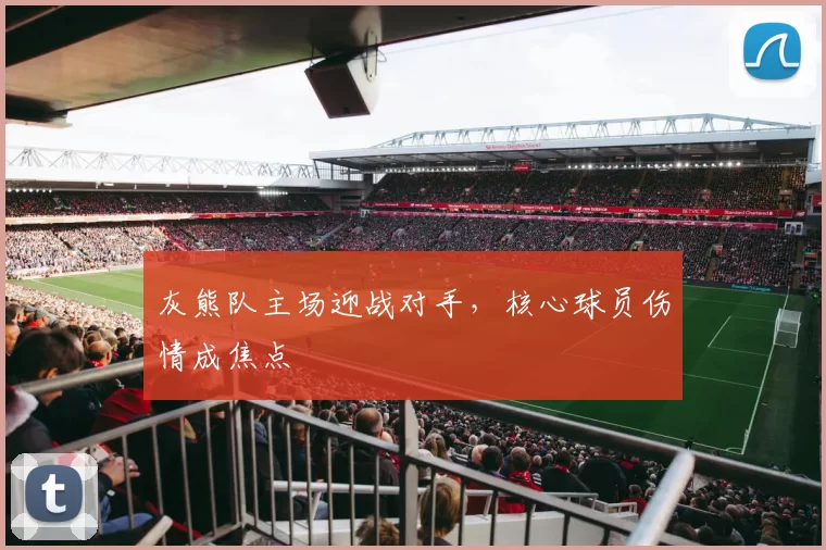 灰熊队主场迎战对手，核心球员伤情成焦点