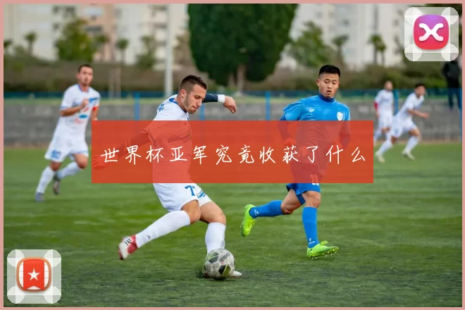 世界杯亚军究竟收获了什么