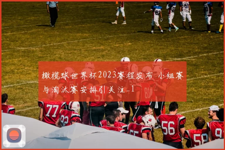 橄榄球世界杯2023赛程发布 小组赛与淘汰赛安排引关注_1