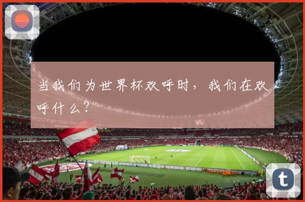 当我们为世界杯欢呼时,我们在欢呼什么?