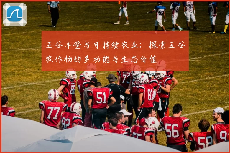 五谷丰登与可持续农业:探索五谷农作物的多功能与生态价值