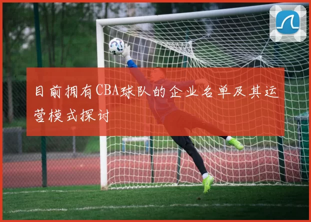 目前拥有CBA球队的企业名单及其运营模式探讨