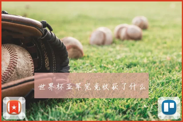 世界杯亚军究竟收获了什么