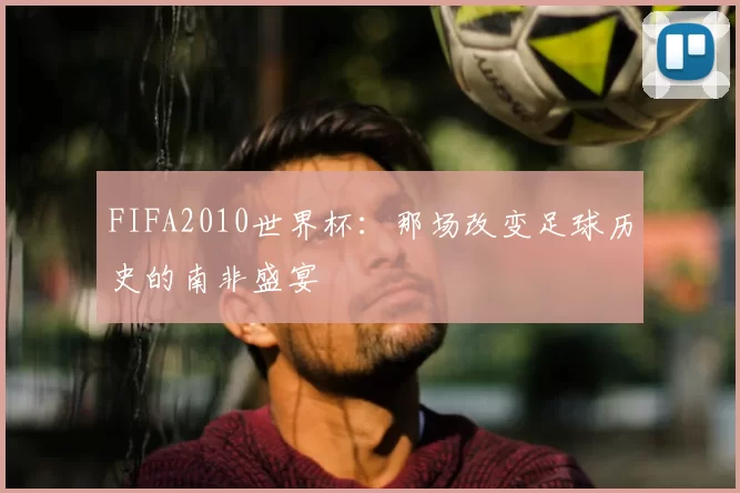 FIFA2010世界杯:那场改变足球历史的南非盛宴