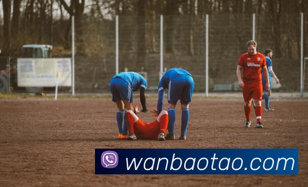 华体会体育APP 封面图